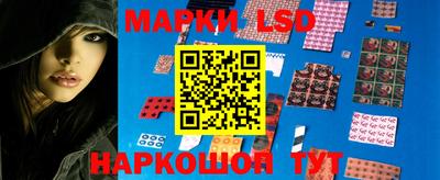 сатива Краснодар