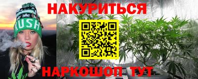 сатива Краснодар